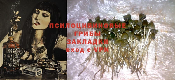 индика Алексеевка