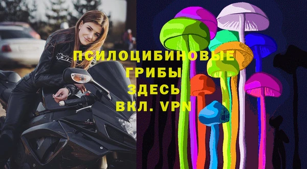 индика Алексеевка